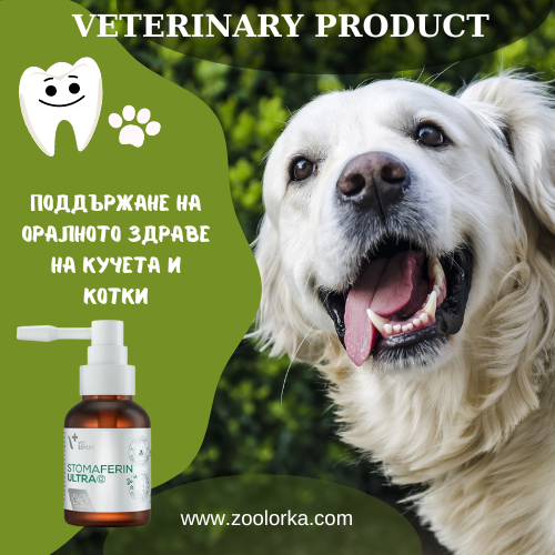 Expert Stomaferin Ultra Spray, Орална грижа за кучета и котки, 30мл